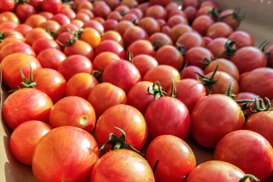 Farmers’ Market