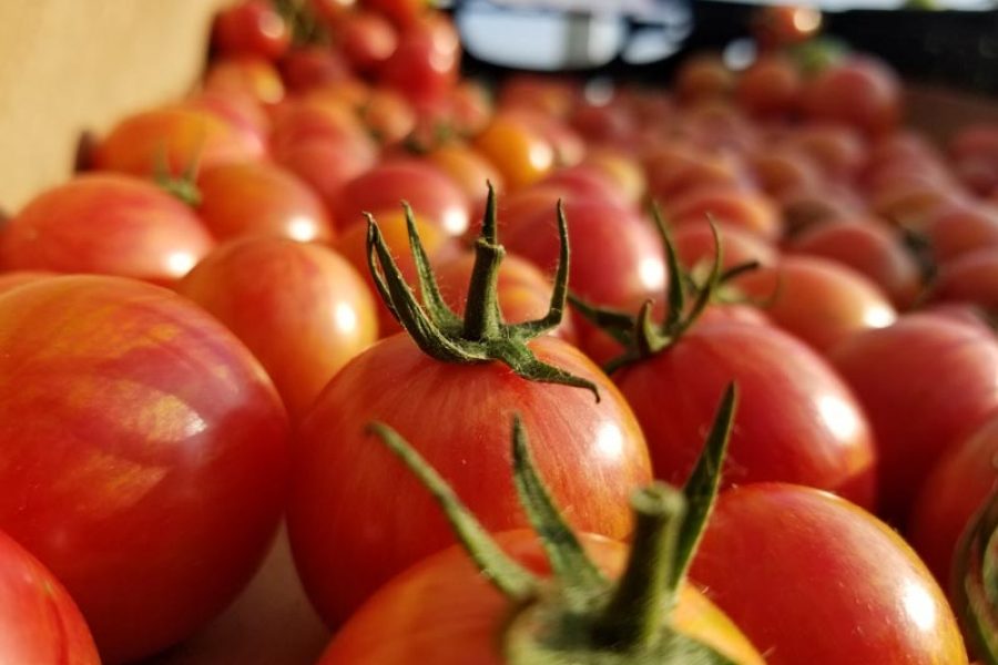 Farmers’ Market