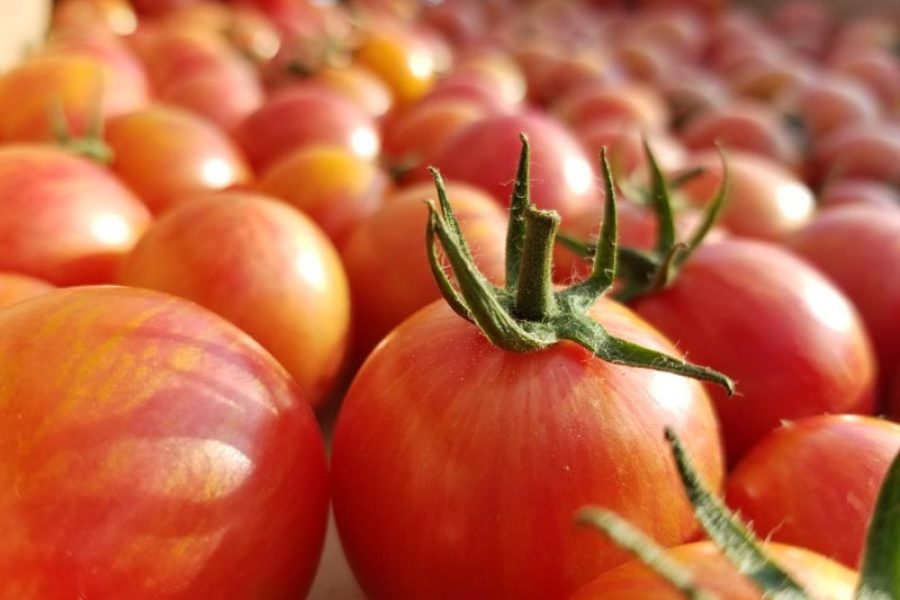 Farmers’ Market